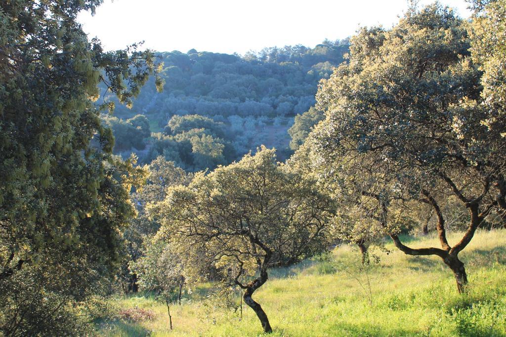 Cabana El Mirador Pedroso de Acim Екстер'єр фото